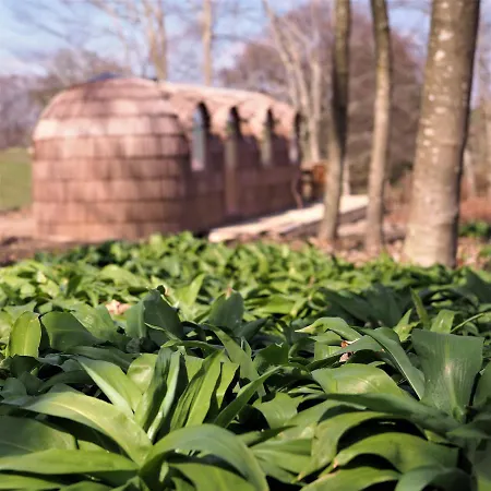 Les Cocons D'ardenne - Insolite