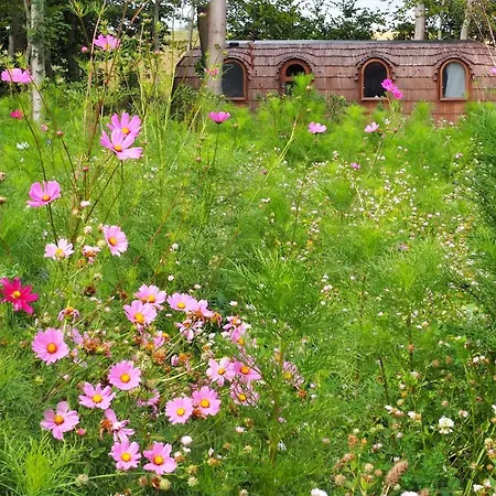 Les Cocons D'ardenne - Insolite *