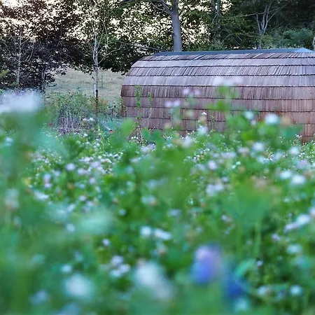 Les Cocons D'ardenne - Insolite