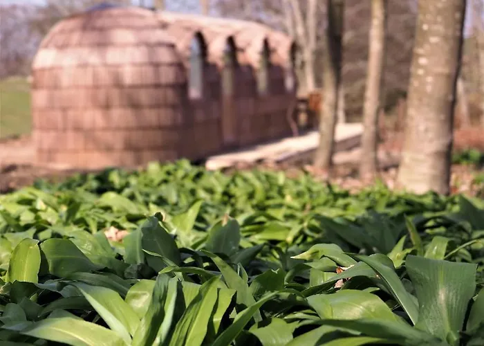 Les Cocons D'ardenne - Insolite