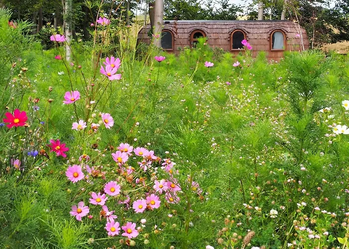 Les Cocons D'ardenne - Insolite *