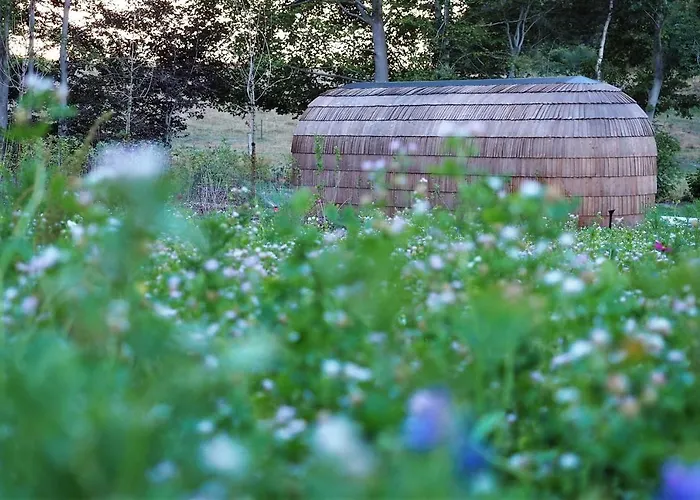 Les Cocons D'ardenne - Insolite